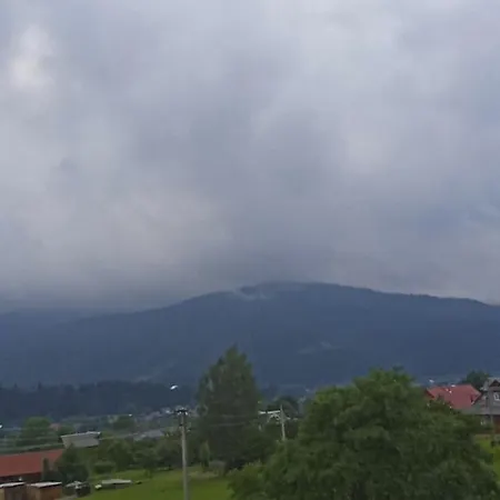 Casa de Campo смерека *