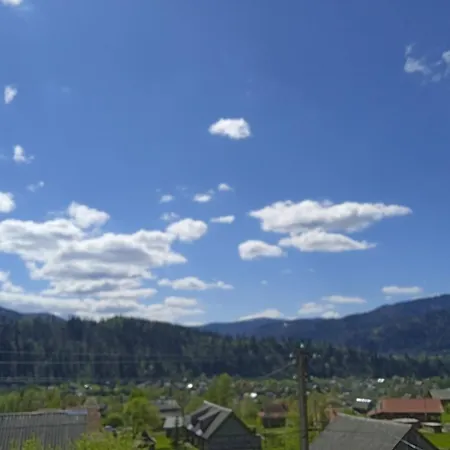 Casa de Campo смерека *