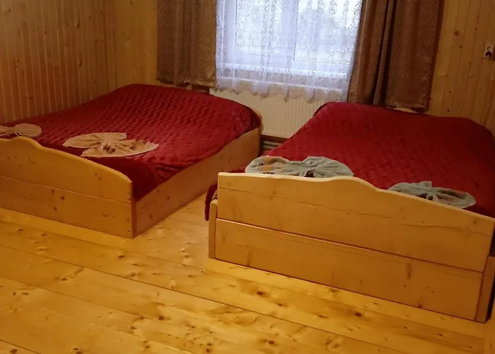 смерека Mykulychyn