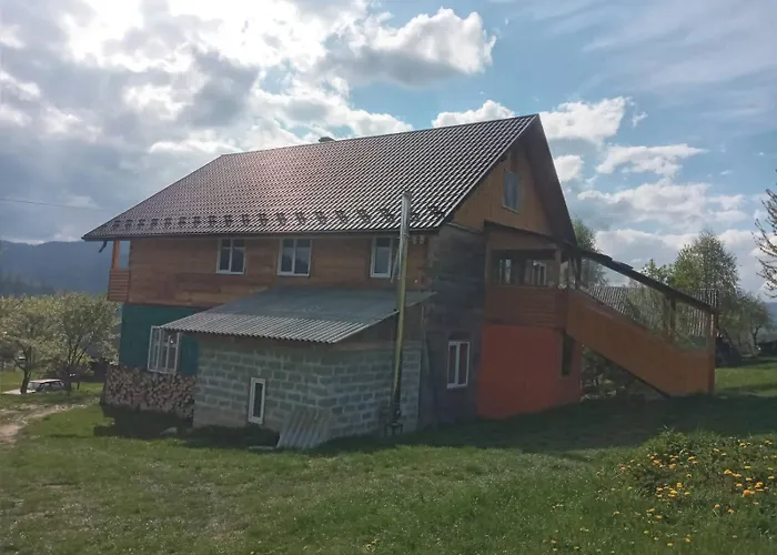 смерека Mykulychyn
