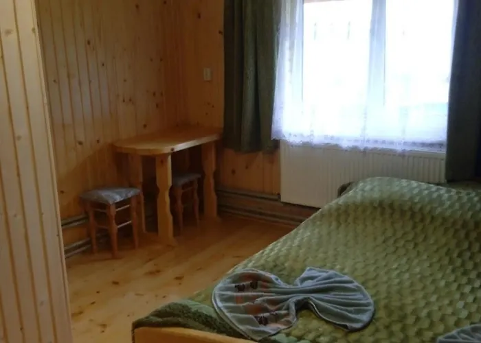 смерека Mykulychyn