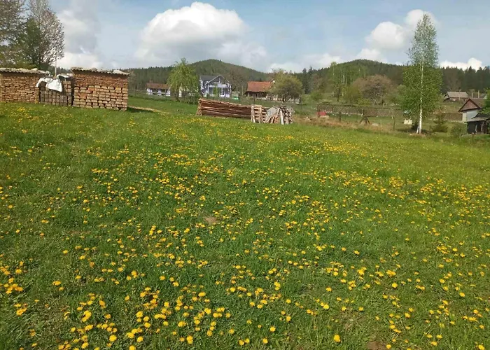 смерека * Mykulychyn